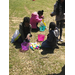 Young girls counting their Easter eggs to see who found the most eggs.